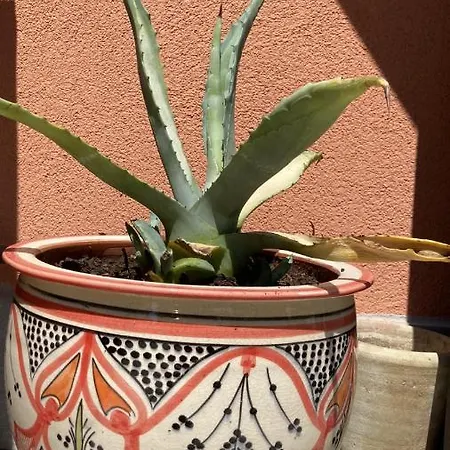 Апартаменти Mini Loft Lido With Own Sunny & Private Garden Lido di Venezia