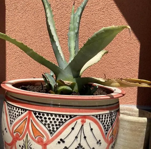 Lejlighed Mini Loft Lido With Own Sunny & Private Garden Venedigs Lido